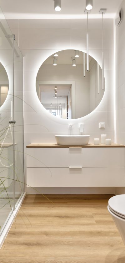 Indoors architecture in modern bathroom with decorative design. Hotel apartment with bath, glass and plant. Home decor.